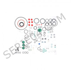 injection pump seal kit, Lucas DPC Turbo