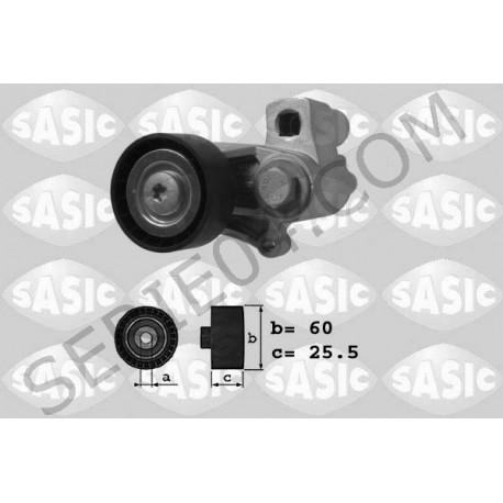 Tensioner pulley