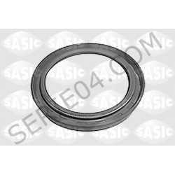 crankshaft oil seal