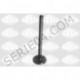 Intake valve