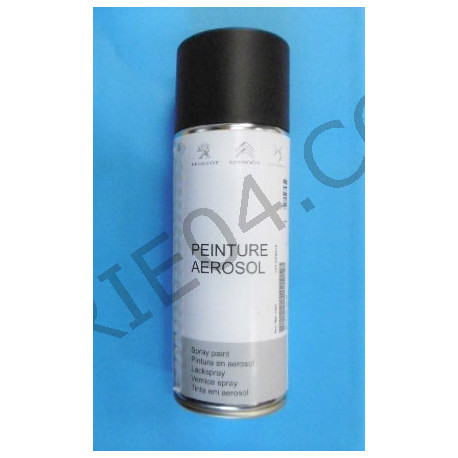 bombe de peinture noir mat 500ml