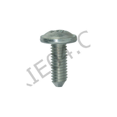 screw body 6mm