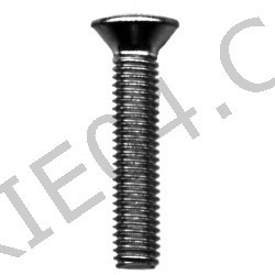 Mirror stainless steel screws