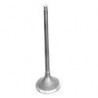 exhaust valve