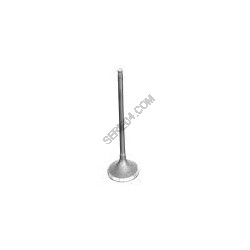 exhaust valve