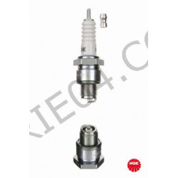 spark plug