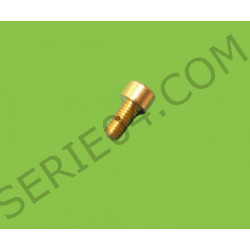 brass screw, water drain