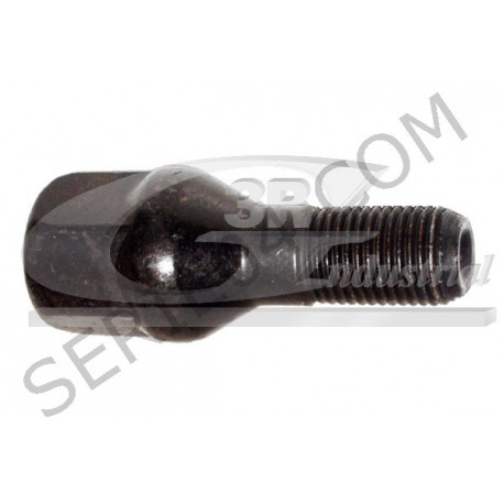 Wheel mounting screw