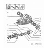 oil seal