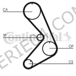 Cinghia dentata da 118 denti