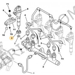 protecteur d'injecteur DW10TD