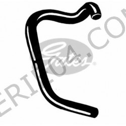 lower radiator hose