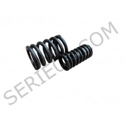 set of 2 valve springs