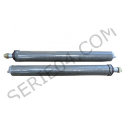 paire d'amortisseurs avt