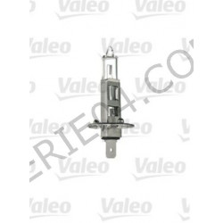 ampoule H1