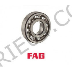 Waterpomp Bearing