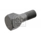 Wheel mounting screw