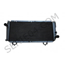 standard exchange radiator