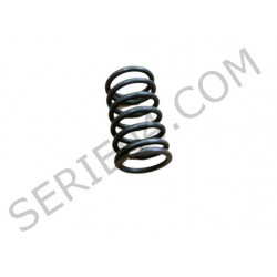 primavera tubo del eje