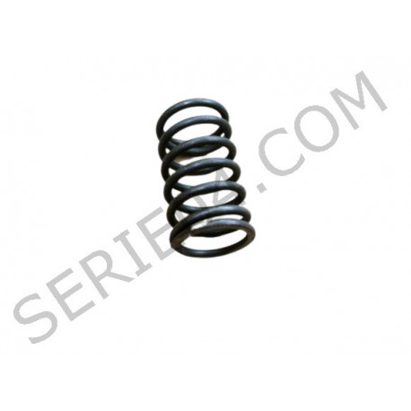 primavera tubo del eje