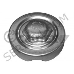 radiator cap