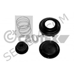 Membrane Kit + cup head fuel filter Purflux