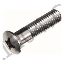 Stainless steel screw