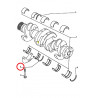 FLASQUES de vilebrequin diesel sdt