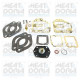 seal kit Solex carburetor