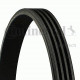 courroie 6PK1352