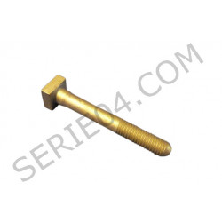 pivot screw