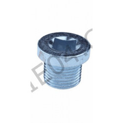 drain plug
