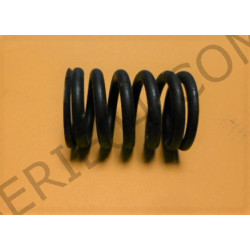 valve spring