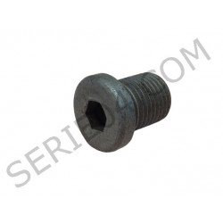 Bouchon de vidange ZF