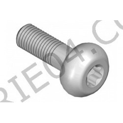 Tornillo de la pinza de freno delantera Girling