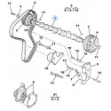 206 diesel engine distribution 1L9D DW8-DW8B