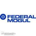 Federal mogul