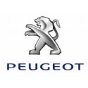 Peugeot 2000-2020
